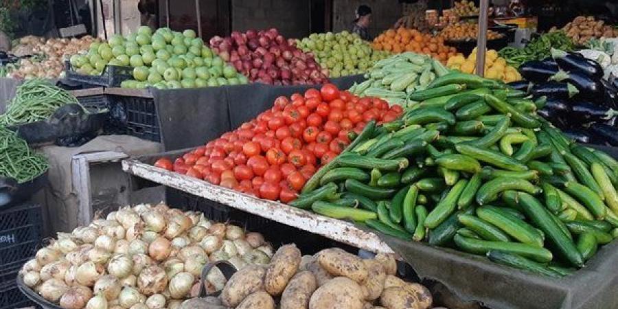 سعر الخضار اليوم، انخفاض الباذنجان والليمون وارتفاع البطاطس والفلفل والملوخية