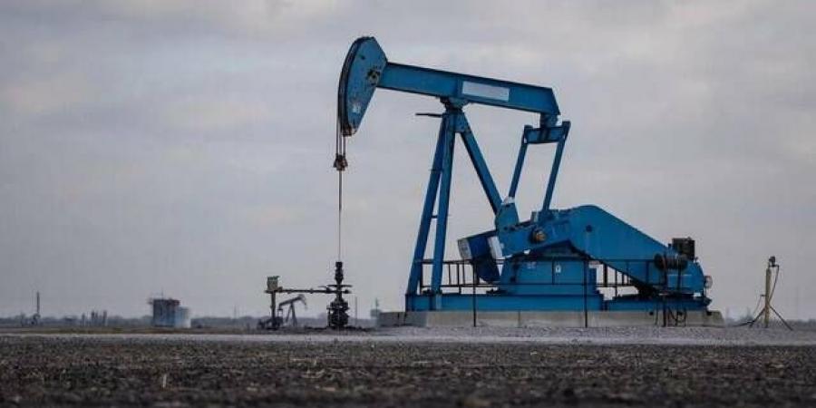   مباحثات هرمز تهبط بأسعار النفط