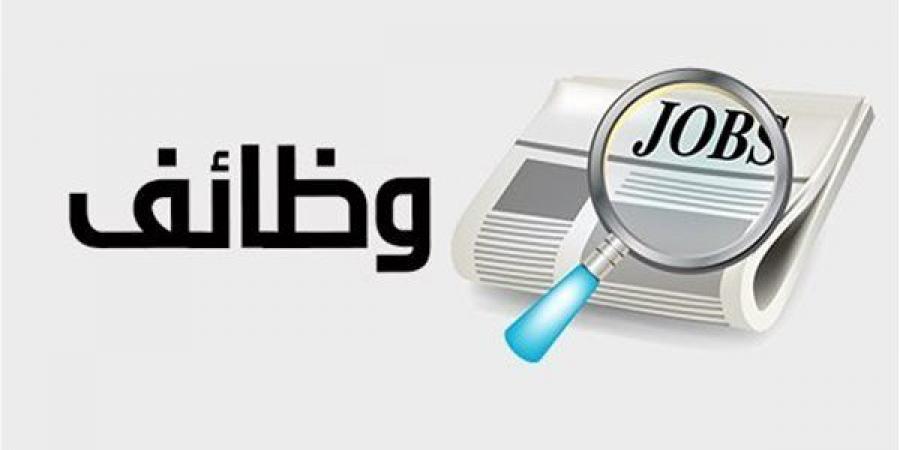 أي كلية تضمن وظيفة أسرع؟ خريطة تشغيل حديثي التخرج في مصر
