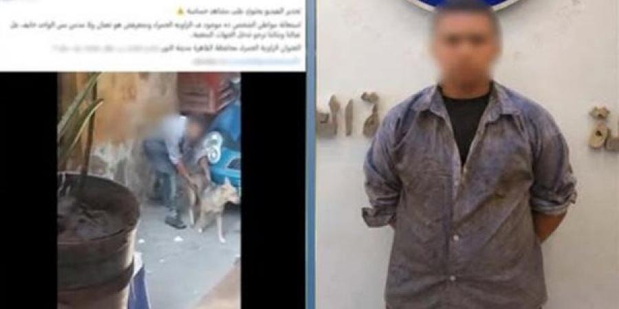 لقطات مصورة توثق تعدى طفل على كلب ضال بالزاوية الحمراء.. والأسرة تكشف مفاجأة