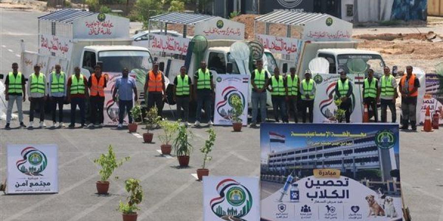 مأوى للرعاية والتطعيم والتعقيم، الإسماعيلية تبدأ مرحلة جديدة في التعامل مع الكلاب الحرة