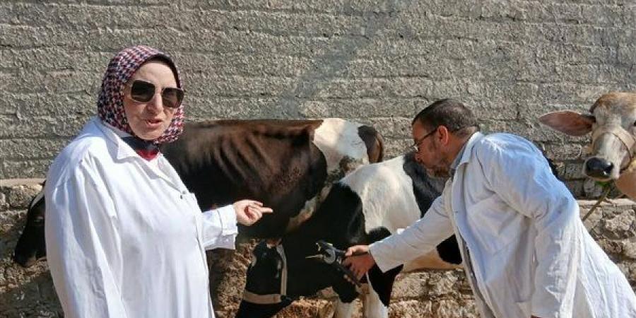الزراعة تحصن أكثر من مليوني رأس ماشية ضد الحمى القلاعية والوادي المتصدع
