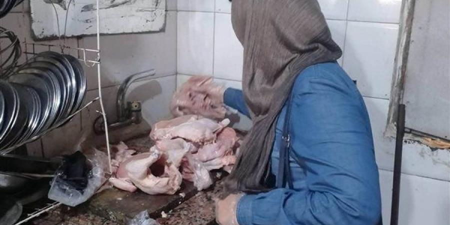 حملات بيطرية مكثفة للتفتيش على الأسواق والمطاعم في كفر البطيخ بدمياط
