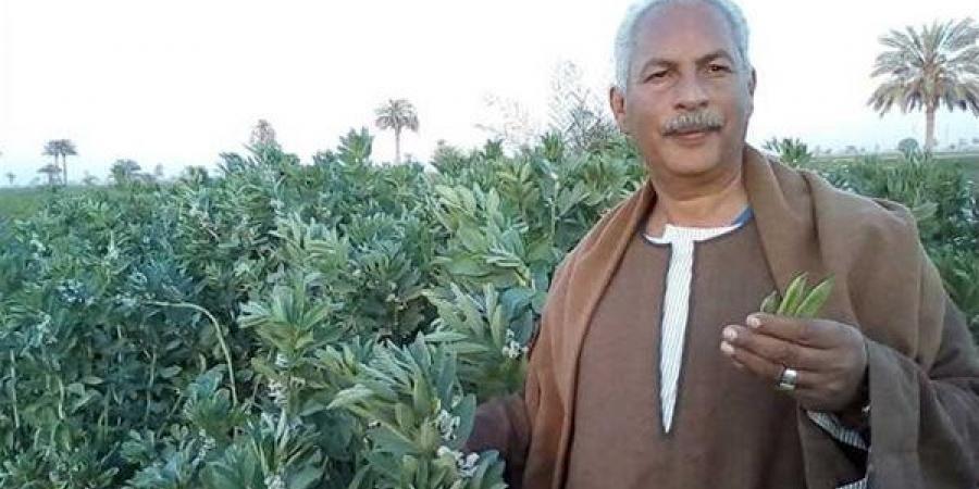بسبب هجومه على المصريين بشأن رغيف الخبز، خبير لـ"نقيب الفلاحين": كفاية تنطيط على كتف المواطن