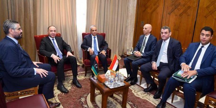وزير الخارجية يلتقي المكلف بتسيير شؤون الخارجية الليبية ويؤكد دعم مصر لاستقرار ليبيا ووحدتها