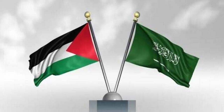الخارجية الفلسطينية تدين الاعتداءات على مدينتي الطائف وينبع