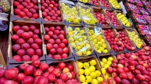 أسعار الفاكهة اليوم الخميس 8-10-2026 بأسواق مطروح.. الموز بـ 35 جنيه