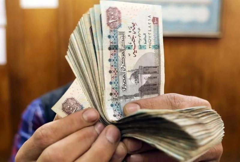 متوسط دخل شهري يصل لـ 27 ألف جنيها لمدة 3 سنوات.. اعرف الشروط والتفاصيل