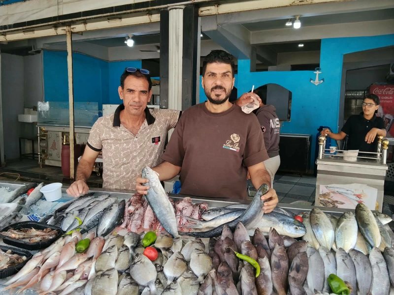 أسعار السمك البلطي والبوري والجمبري اليوم الأربعاء في أسواق مطروح