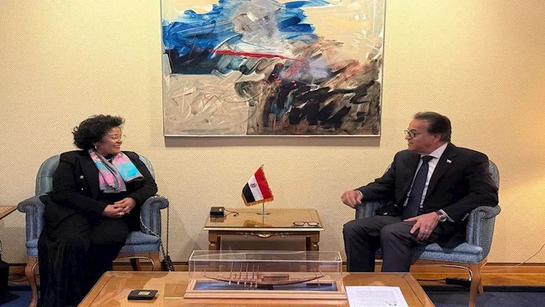 وزير الصحة يبحث مع "أودا-نيباد" تعزيز التعاون الصحي وتصنيع الأدوية في أفريقيا