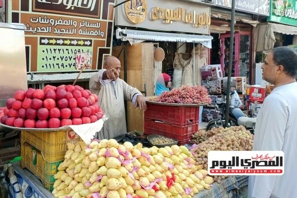 الطماطم بـ25 جنيهًا.. أسعار الخضروات والفاكهة اليوم في مطروح