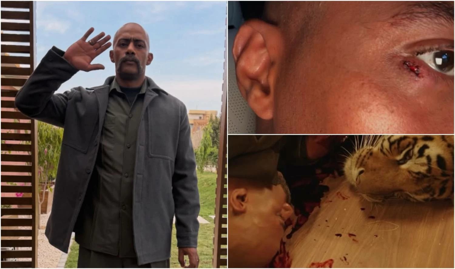 محمد رمضان يكشف تفاصيل حادث هجوم النمر عليه خلال تصوير «عشماوي»