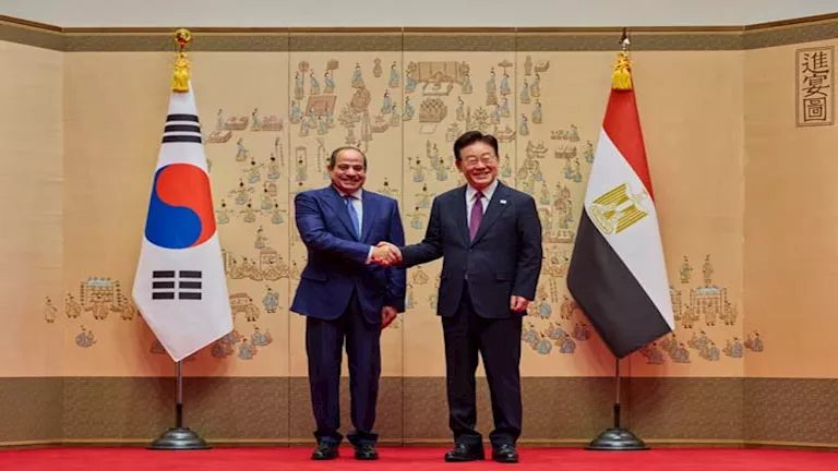 طارق فهمي: كوريا الجنوبية وإندونيسيا أبدتا تفهمًا لمواقف مصر في الملفات المصيرية