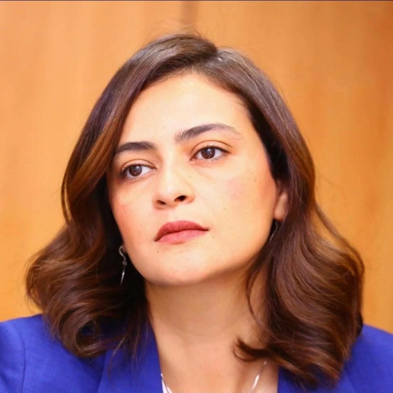 علا الشافعي رئيسًا لمهرجان الإسكندرية السينمائي لدول حوض البحر المتوسط