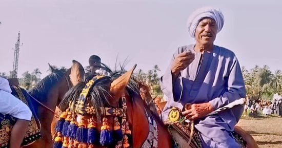 منذ 53 عاما.. العمدة فراج عميد خيالة قنا يحكي تجربته مع سباقات الخيل وتربيتها