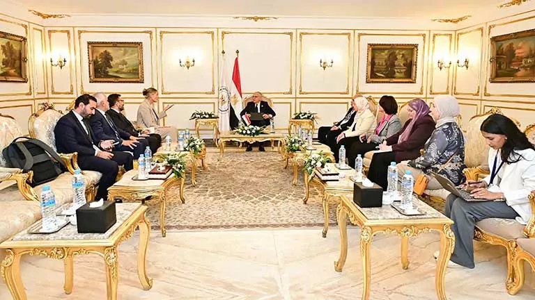 وزير الري يبحث تمويل مشروع وادي النقرة من صندوق المناخ الأخضر