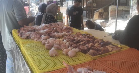أسعار الفراخ بأسواق مطروح اليوم الاثنين 12-10-2026.. الوراك بـ90 جنيها