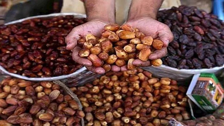 وزير الزراعة: مصر تتصدر إنتاج التمور عالميًا بـ2.2 مليون طن