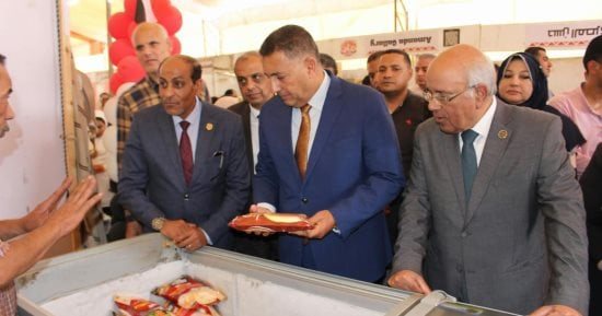 محافظ القليوبية يفتتح معرضا للسلع الغذائية بأسعار مخفضة فى الخانكة.. صور