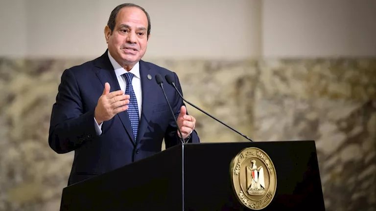 السيسي: الشعب المصري يعيش على 7% فقط من مساحة مصر وتداعيات ذلك كبيرة