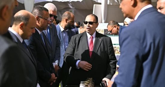 تعرف على المشروعات الخضراء الذكية لجامعة كفر الشيخ