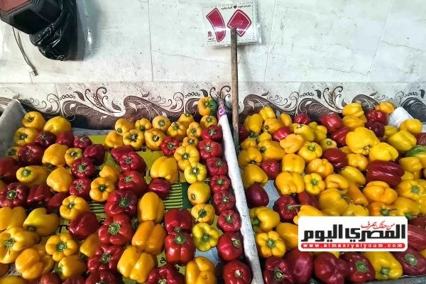 «البطاطس بـ30 جنيهًا».. أسعار الخضروات اليوم في مطروح