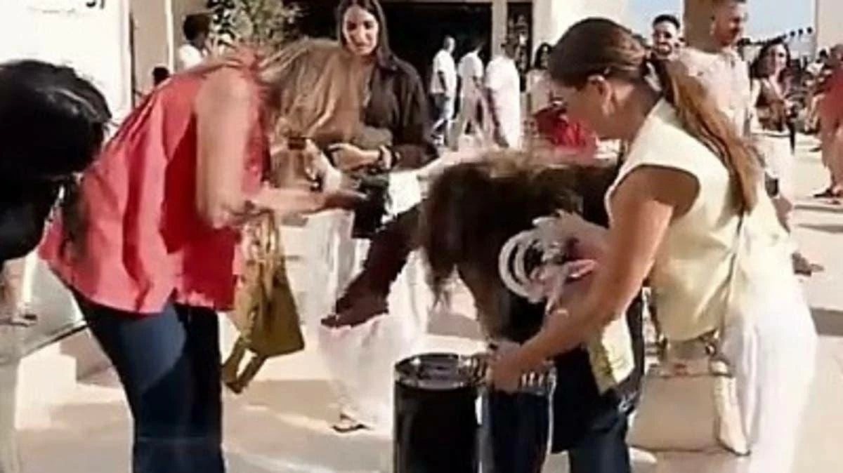 بسبب كوب قهوة.. ليلى علوي تتعرض لموقف محرج في مهرجان الجونة ورد فعل مفاجيء من يسرا (فيديو)