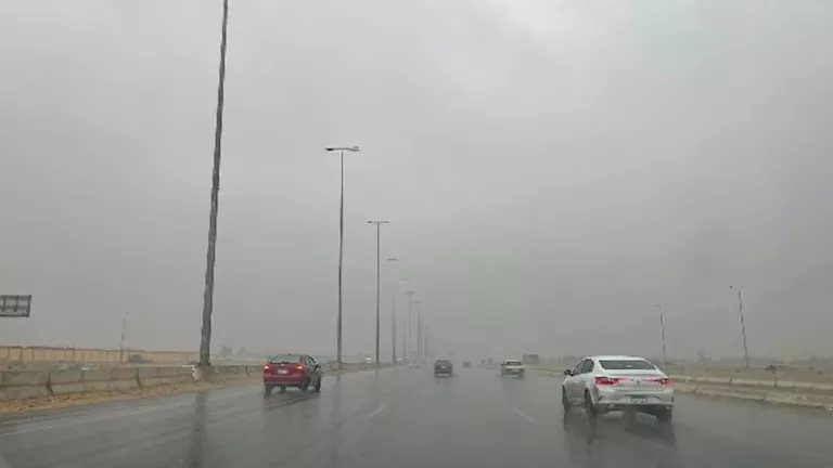 أمطار على السواحل الشمالية وشبورة مائية.. الأرصاد تكشف تفاصيل طقس الساعات المقبلة