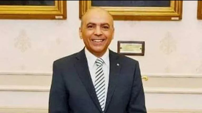 نائب بـ"الشيوخ" ينتقد تكرار أزمات ارتفاع الأسعار ويطالب بخطة عاجلة لضبط الأسواق