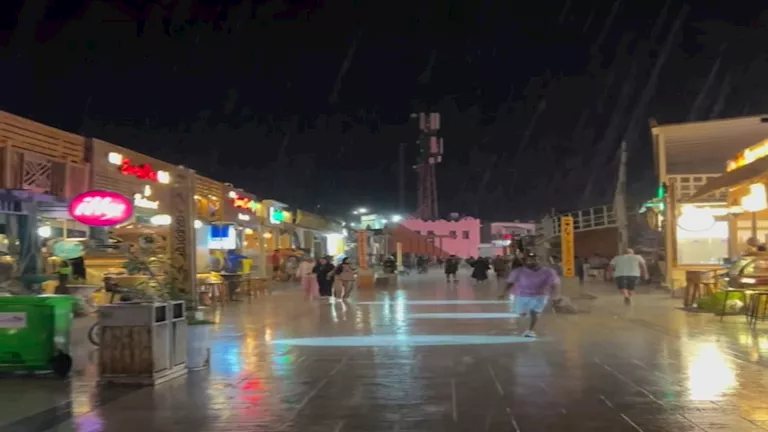 أمطار وشبورة كثيفة ونشاط للرياح.. "الأرصاد" تكشف تفاصيل طقس الـ6 أيام المقبلة