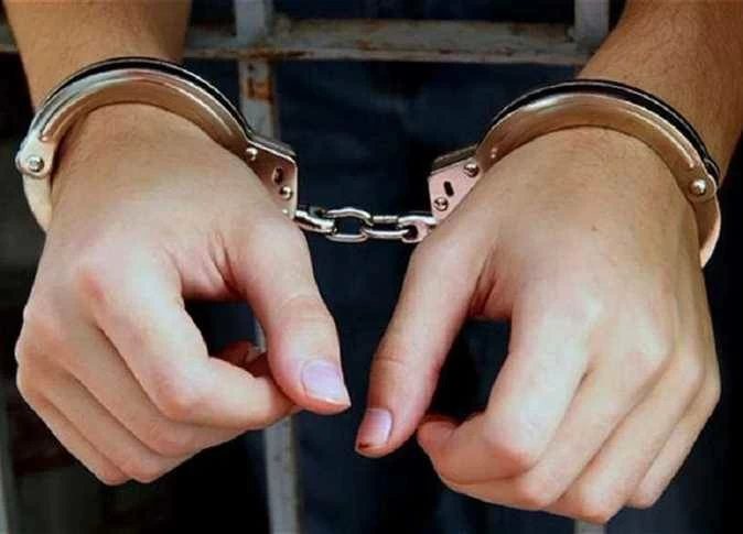 ضبط تشكيل «القبطان» بتهمة حيازة مخدرات بقيمة 6 ملايين جنيه بالدقهلية