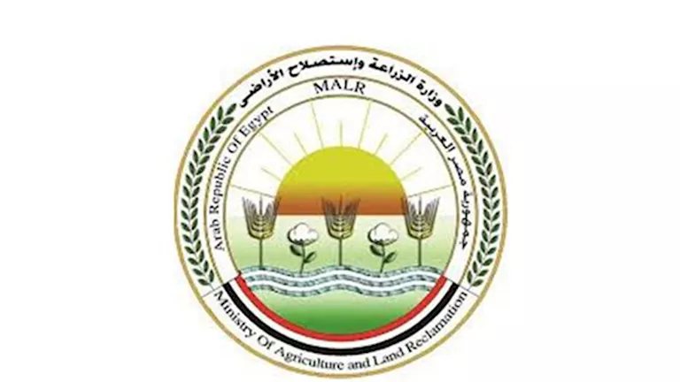 الزراعة: حصاد 60% من الأرز وتدوير 610 آلاف طن القش